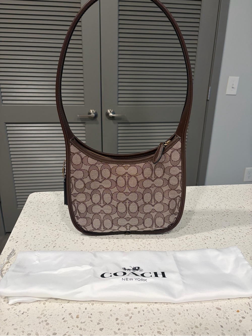 Coach Signature Jacquard Maple Brown Curve Zip Bag